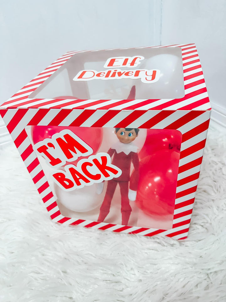 Elf welcome home kit