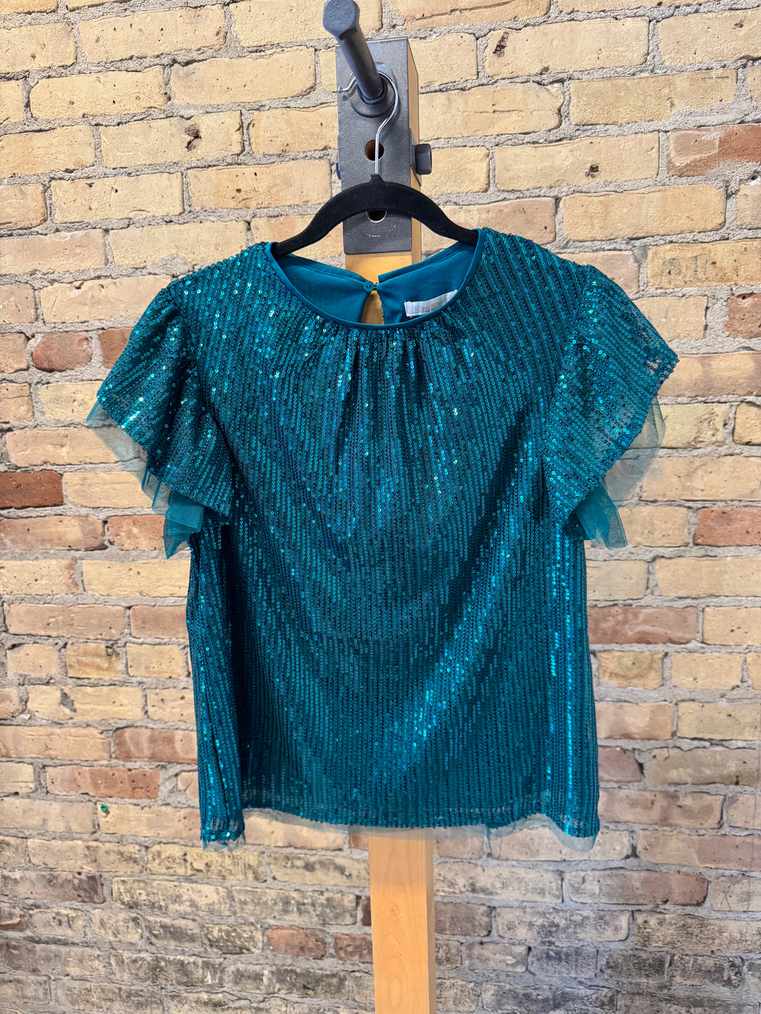 Sequin Ruffle Sleeve Top